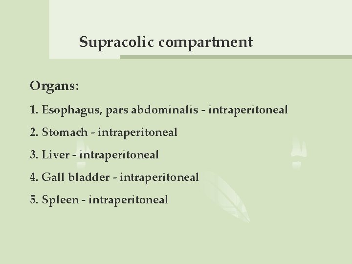 Supracolic compartment Organs: 1. Esophagus, pars abdominalis - intraperitoneal 2. Stomach - intraperitoneal 3.