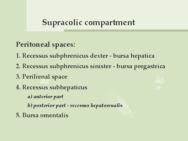 Supracolic compartment Peritoneal spaces: 1. Recessus subphrenicus dexter - bursa hepatica 2. Recessus subphrenicus