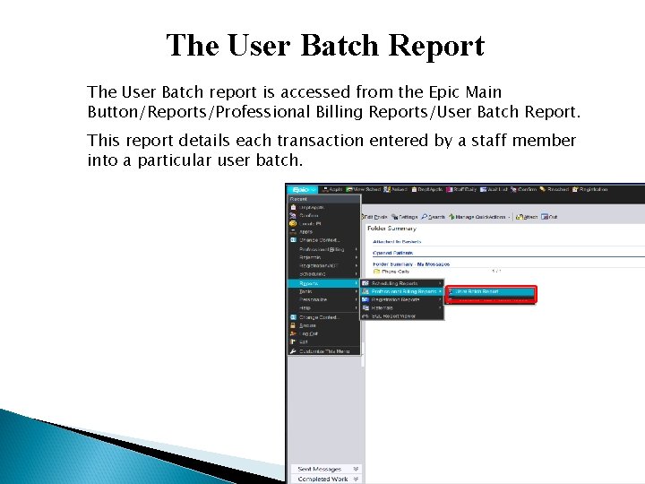The User Batch Report The User Batch report is accessed from the Epic Main