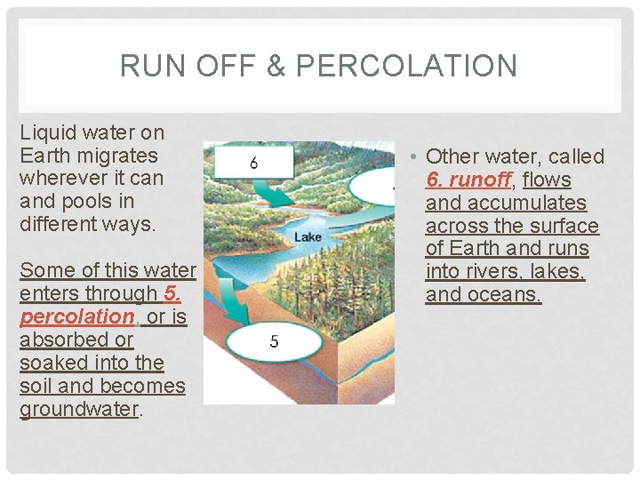 RUN OFF & PERCOLATION Liquid water on Earth migrates wherever it can and pools