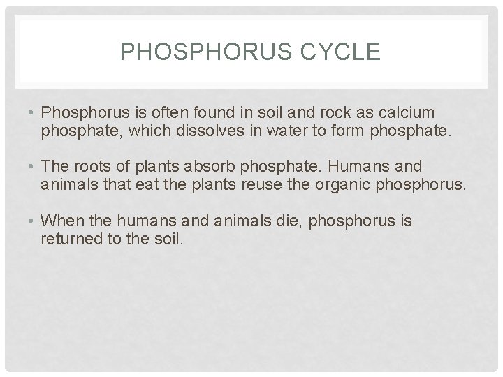 PHOSPHORUS CYCLE • Phosphorus is often found in soil and rock as calcium phosphate,