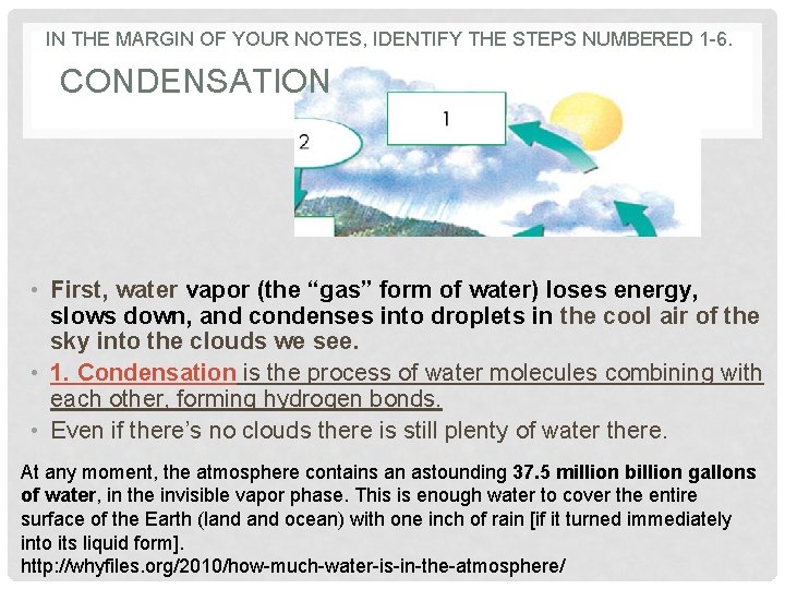 IN THE MARGIN OF YOUR NOTES, IDENTIFY THE STEPS NUMBERED 1 -6. CONDENSATION •