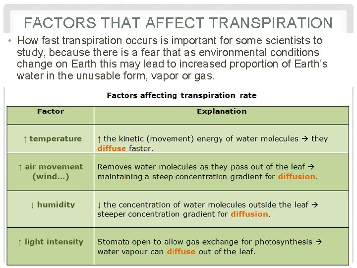 FACTORS THAT AFFECT TRANSPIRATION • How fast transpiration occurs is important for some scientists