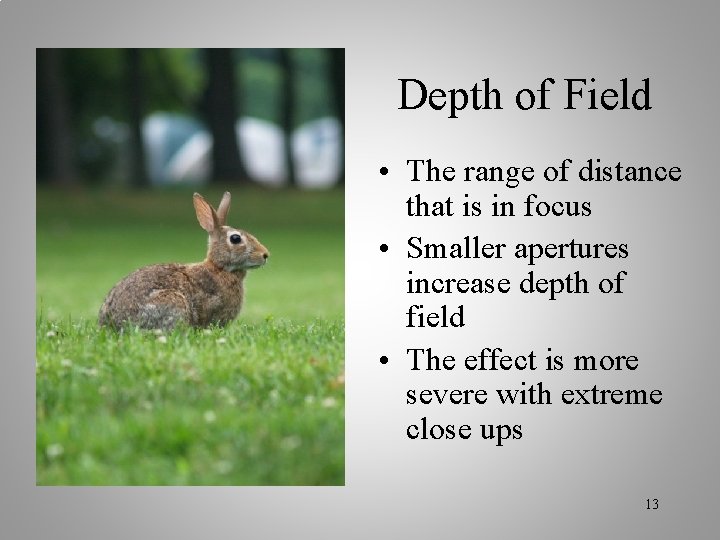 Depth of Field • The range of distance that is in focus • Smaller