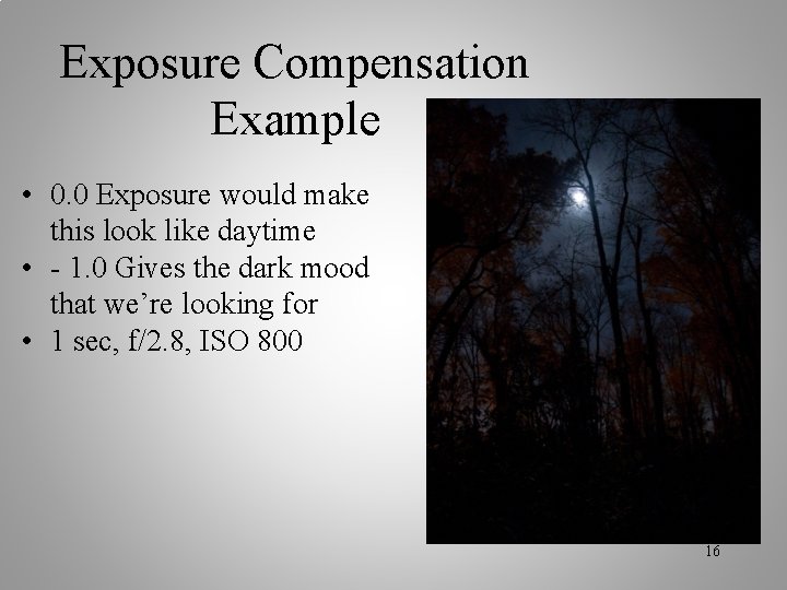 Exposure Compensation Example • 0. 0 Exposure would make this look like daytime •