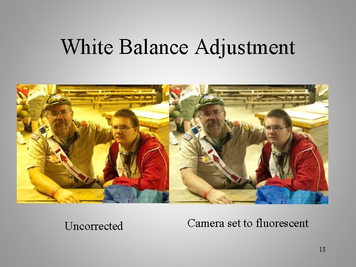 White Balance Adjustment Uncorrected Camera set to fluorescent 18 