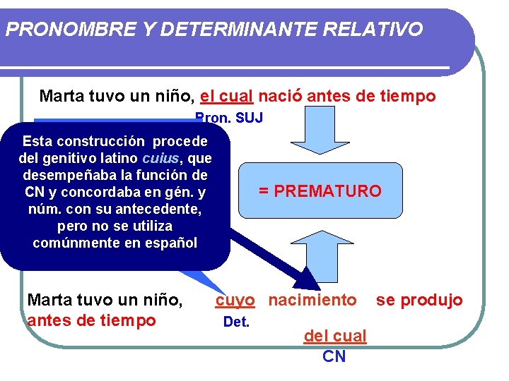 PRONOMBRE Y DETERMINANTE RELATIVO Marta tuvo un niño, el cual nació antes de tiempo PRONOMBRE Y DETERMINANTE RELATIVO Marta tuvo un niño, el cual nació antes de tiempo