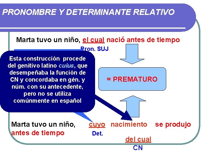 PRONOMBRE Y DETERMINANTE RELATIVO Marta tuvo un niño, el cual nació antes de tiempo