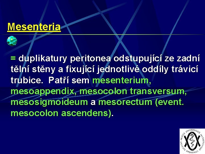 Mesenteria = duplikatury peritonea odstupující ze zadní tělní stěny a fixující jednotlivé oddíly trávicí