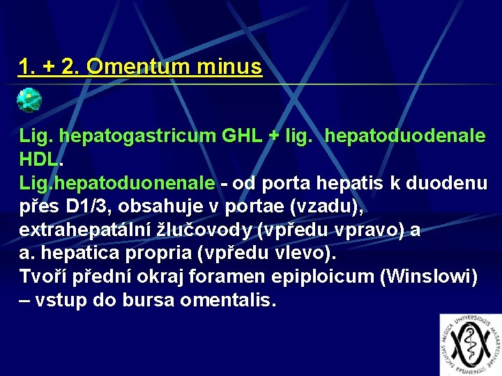 1. + 2. Omentum minus Lig. hepatogastricum GHL + lig. hepatoduodenale HDL. Lig. hepatoduonenale