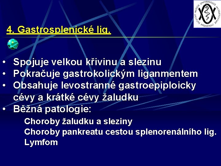 4. Gastrosplenické lig. • • • Spojuje velkou křivinu a slezinu Pokračuje gastrokolickým liganmentem