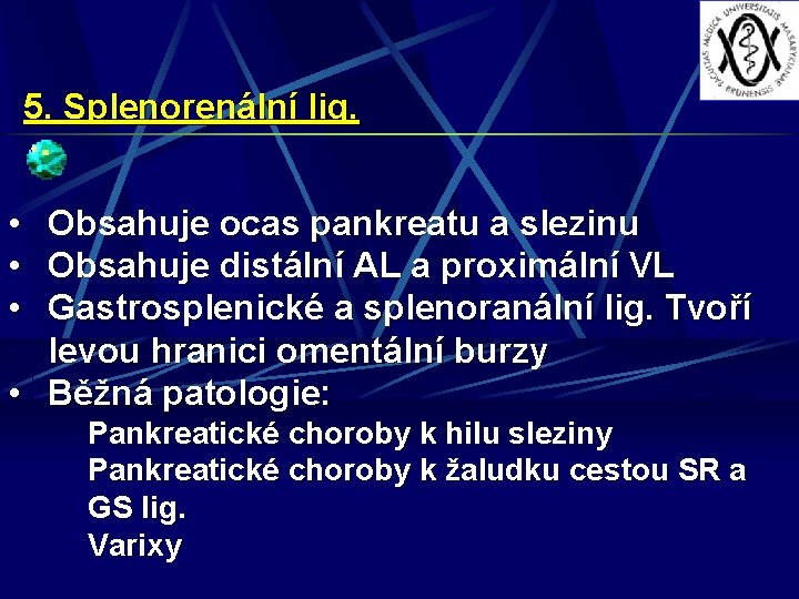 5. Splenorenální lig. • • • Obsahuje ocas pankreatu a slezinu Obsahuje distální AL