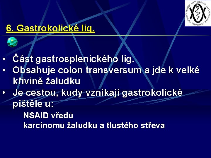 6. Gastrokolické lig. • Část gastrosplenického lig. • Obsahuje colon transversum a jde k