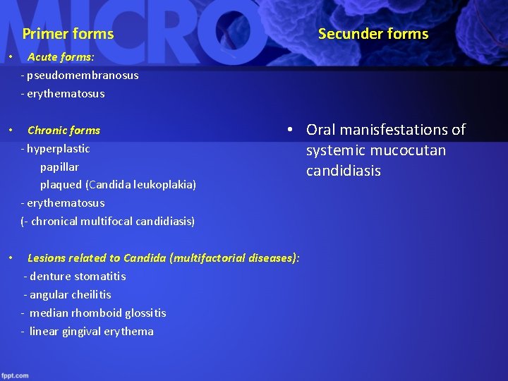 Primer forms Secunder forms • Acute forms: - pseudomembranosus - erythematosus • Chronic forms