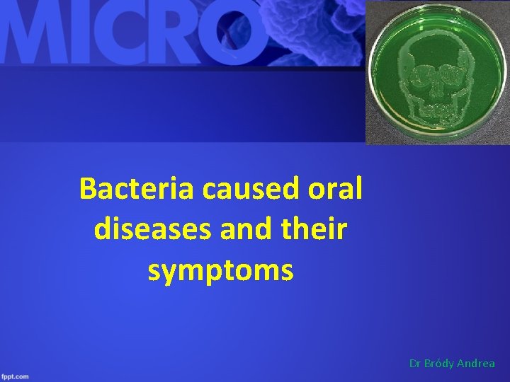 Bacteria caused oral diseases and their symptoms Dr Bródy Andrea 
