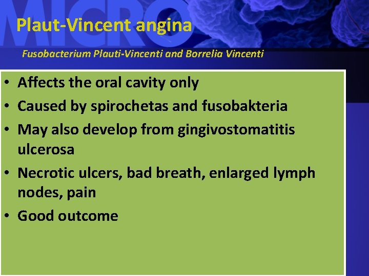 Plaut-Vincent angina Fusobacterium Plauti-Vincenti and Borrelia Vincenti • Affects the oral cavity only •