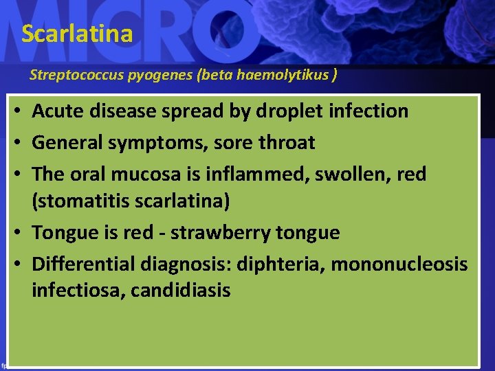 Scarlatina Streptococcus pyogenes (beta haemolytikus ) • Acute disease spread by droplet infection •