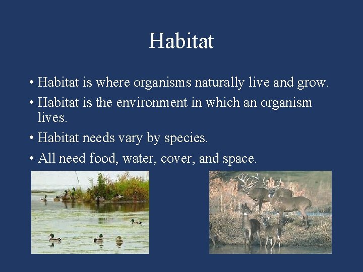 Habitat • Habitat is where organisms naturally live and grow. • Habitat is the