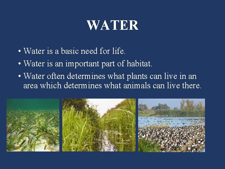 WATER • Water is a basic need for life. • Water is an important