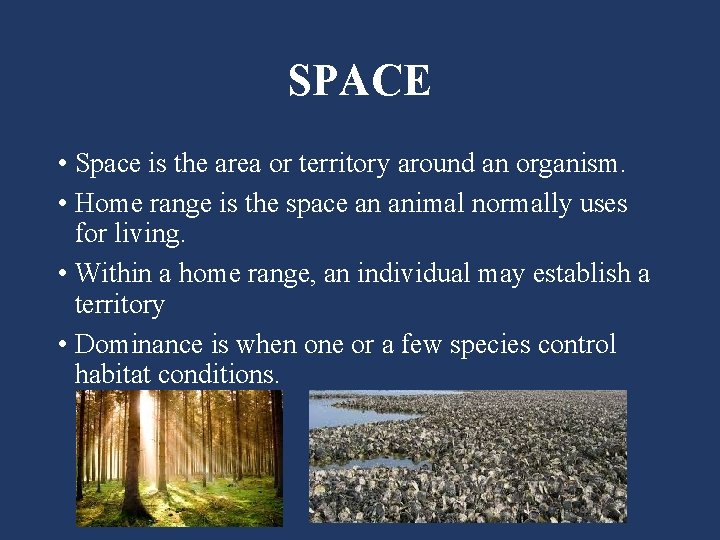 SPACE • Space is the area or territory around an organism. • Home range