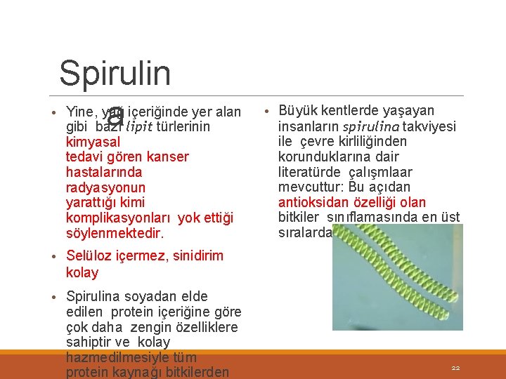 Spirulin • Yine, yağ içeriğinde yer alan a lipit türlerinin gibi bazı kimyasal tedavi