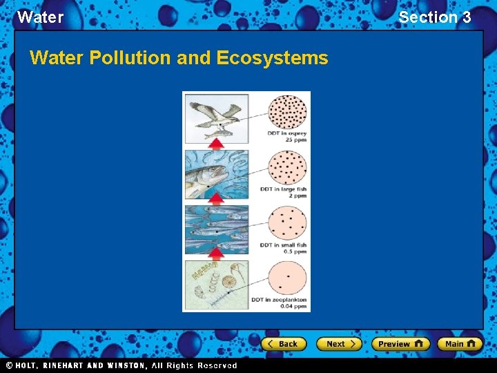 Water Pollution and Ecosystems Section 3 
