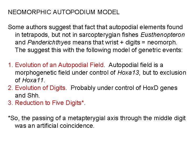 NEOMORPHIC AUTOPODIUM MODEL Some authors suggest that fact that autopodial elements found in tetrapods,