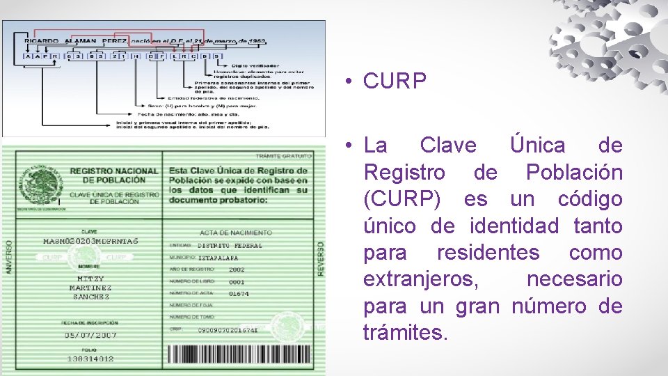  • CURP • La Clave Única de Registro de Población (CURP) es un