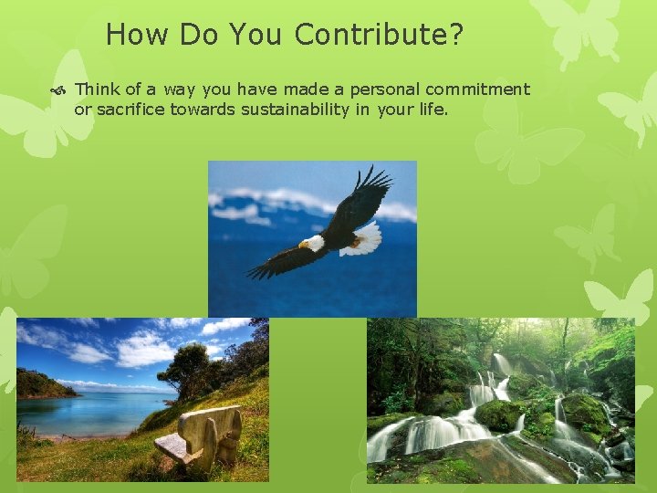 How Do You Contribute? Think of a way you have made a personal commitment
