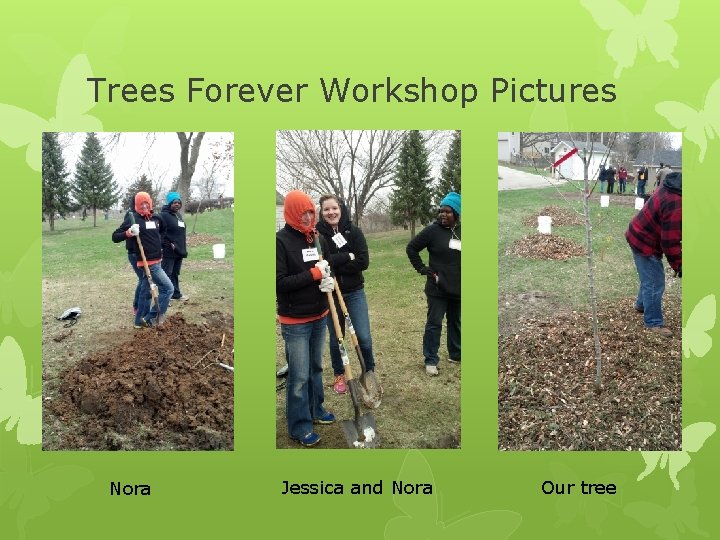 Trees Forever Workshop Pictures Nora Jessica and Nora Our tree 