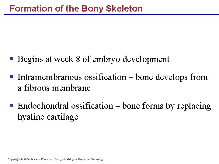 Formation of the Bony Skeleton § Begins at week 8 of embryo development §