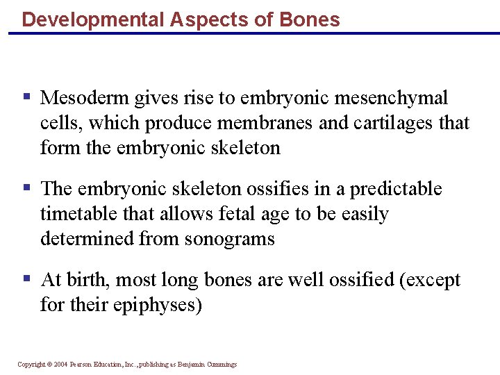 Developmental Aspects of Bones § Mesoderm gives rise to embryonic mesenchymal cells, which produce