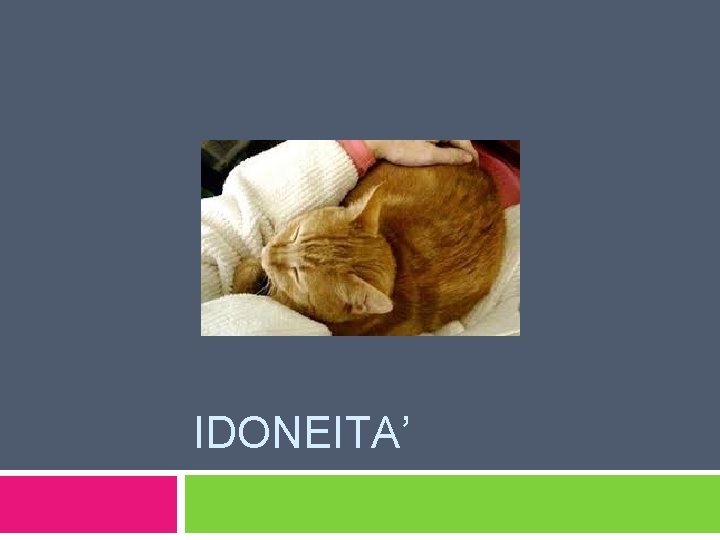 IDONEITA’ 