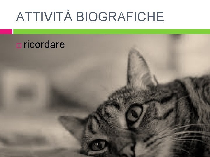 ATTIVITÀ BIOGRAFICHE ricordare 