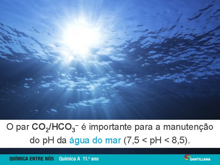 O par CO 2/HCO 3– é importante para a manutenção do p. H da