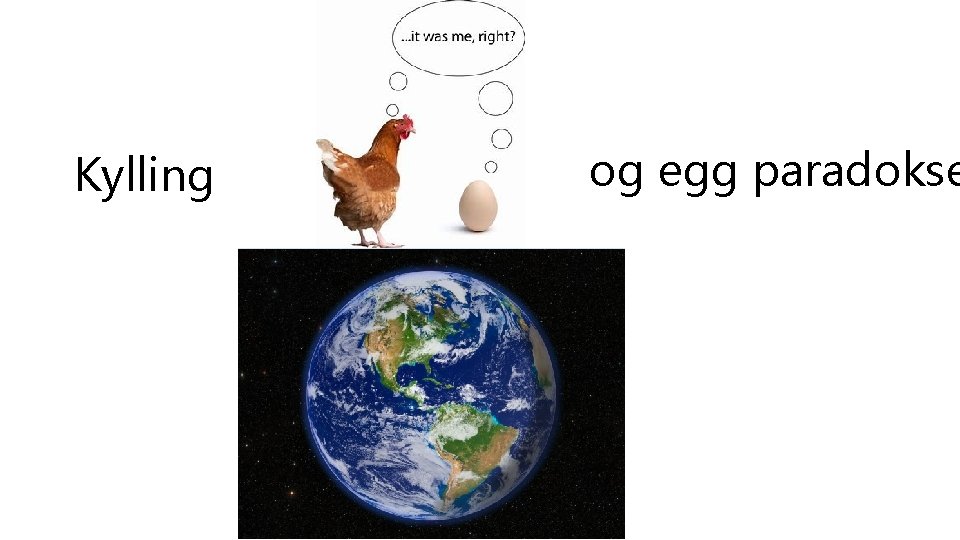 Kylling og egg paradokse 