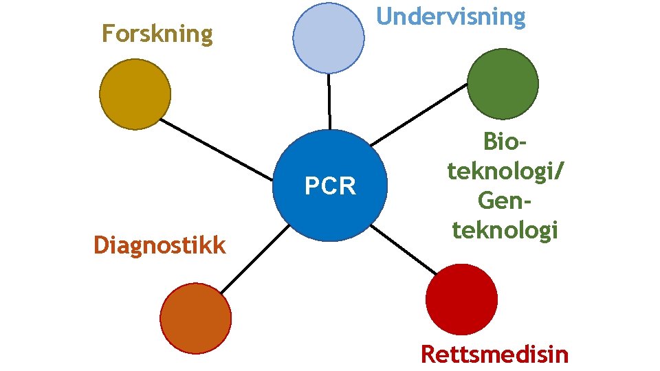 Undervisning Forskning PCR Diagnostikk Bioteknologi/ Genteknologi Rettsmedisin 