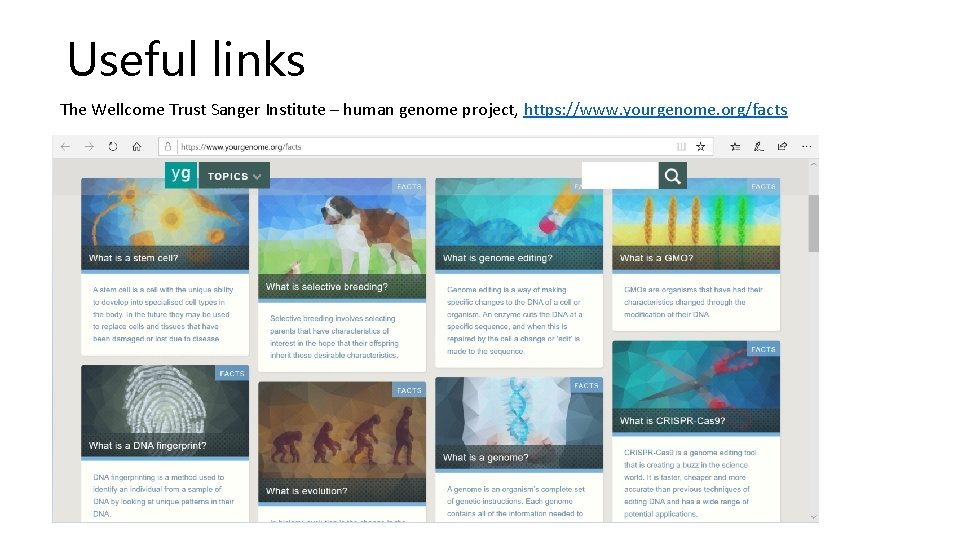 Useful links The Wellcome Trust Sanger Institute – human genome project, https: //www. yourgenome.