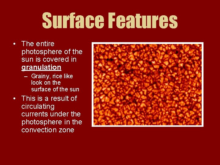 Surface Features • The entire photosphere of the sun is covered in granulation –