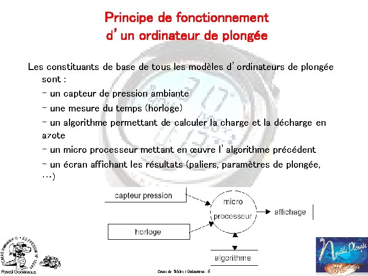 Principe de fonctionnement d’un ordinateur de plongée Les constituants de base de tous les
