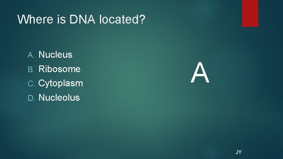 Where is DNA located? A. Nucleus B. Ribosome C. Cytoplasm D. Nucleolus A JY
