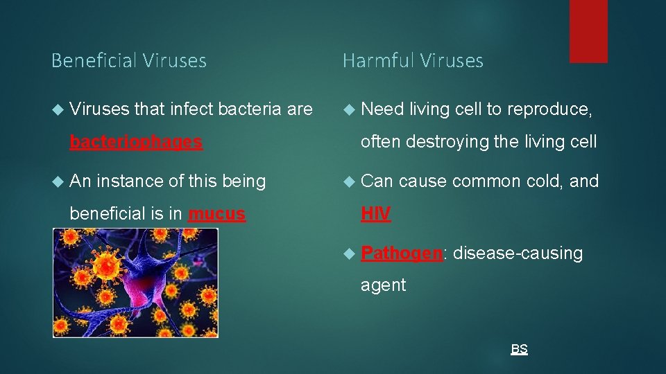 Beneficial Viruses Harmful Viruses Need that infect bacteria are bacteriophages An instance of this