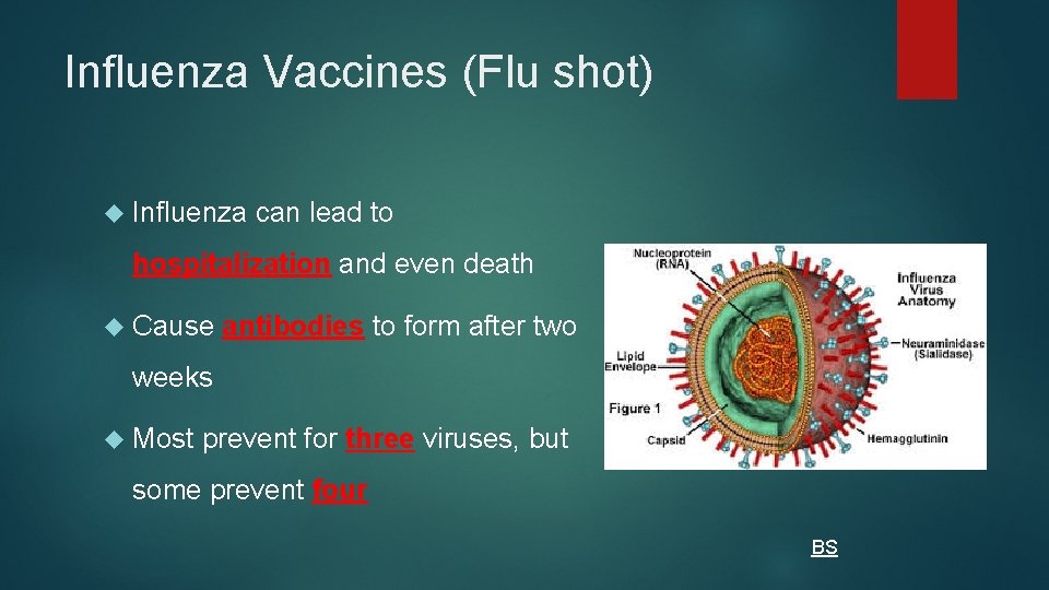 Influenza Vaccines (Flu shot) Influenza can lead to hospitalization and even death Cause antibodies