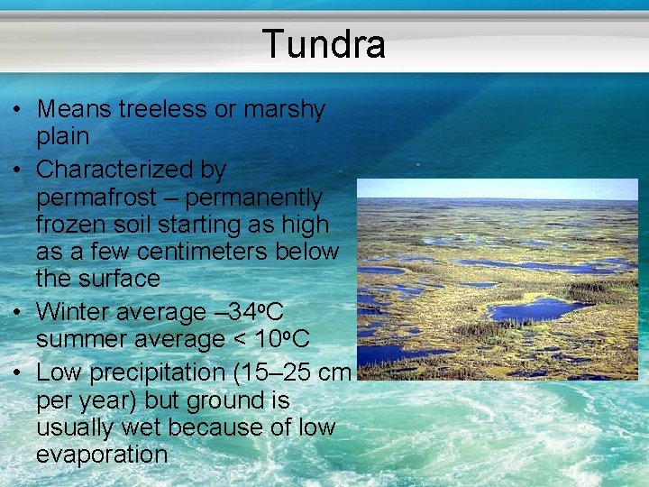 Tundra • Means treeless or marshy plain • Characterized by permafrost – permanently frozen