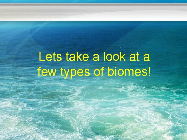 Lets take a look at a few types of biomes! 
