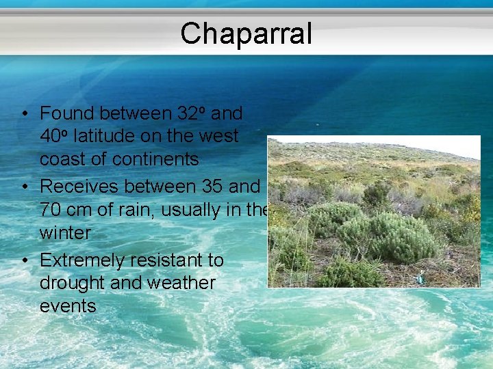 Chaparral • Found between 32 o and 40 o latitude on the west coast