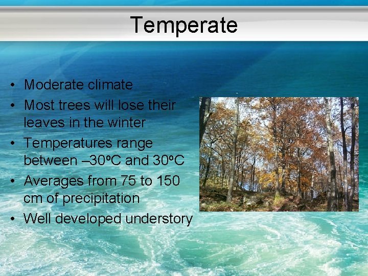 Temperate • Moderate climate • Most trees will lose their leaves in the winter