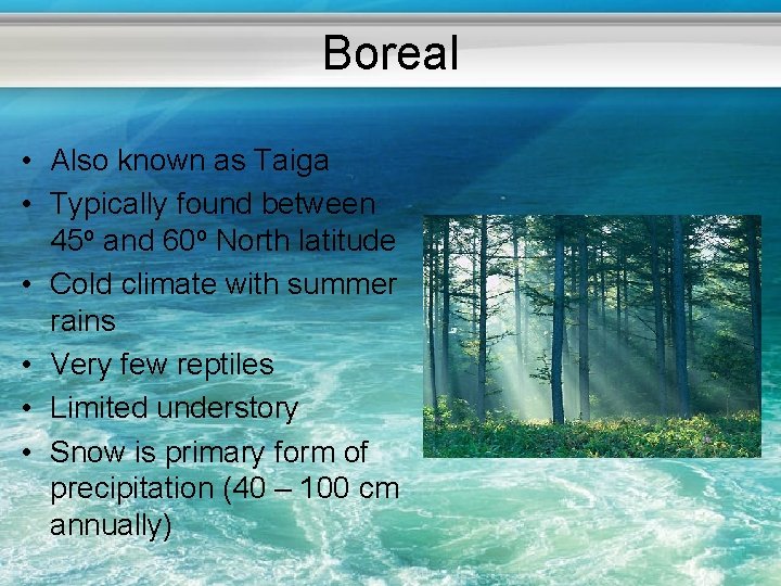 Boreal • Also known as Taiga • Typically found between 45 o and 60