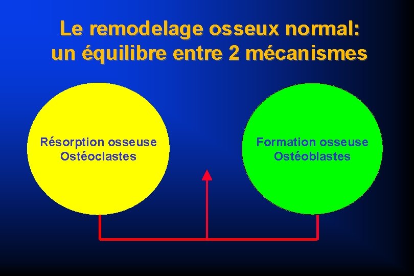 Le remodelage osseux normal: un équilibre entre 2 mécanismes Résorption osseuse Ostéoclastes Formation osseuse