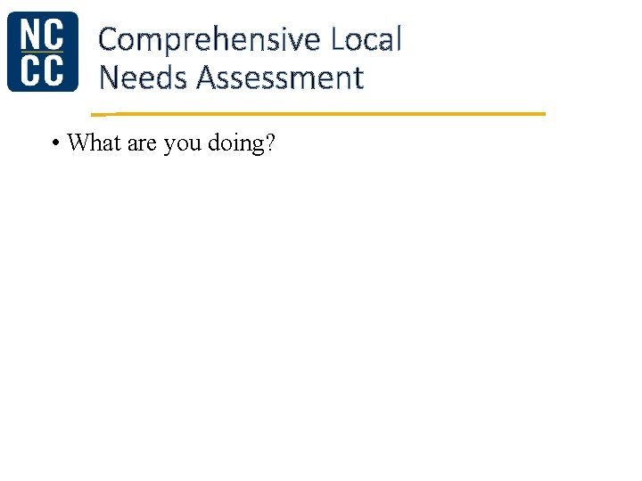 Comprehensive Local Needs Assessment • What are you doing? 